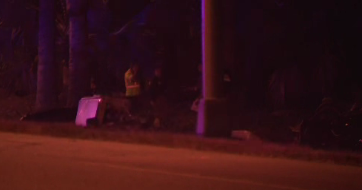 Girl killed, man hurt in early early morning crash on I-95 close to Ives Dairy Highway, FHP