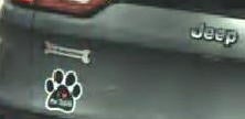George Santos' Jeep 