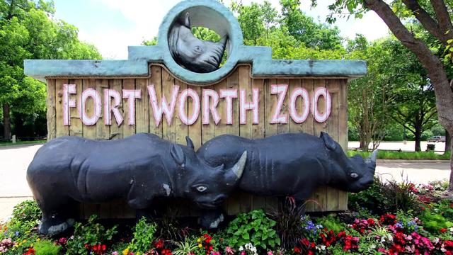 Fort Worth Zoo 