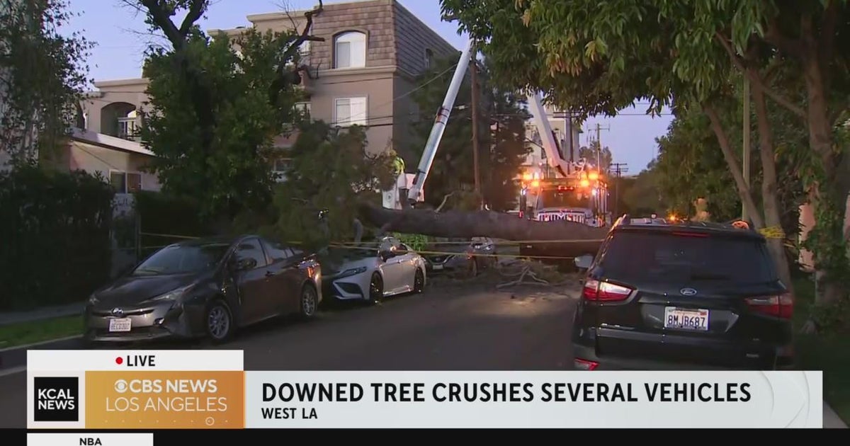 Multiple trees down across L.A., crushing cars and blocking streets