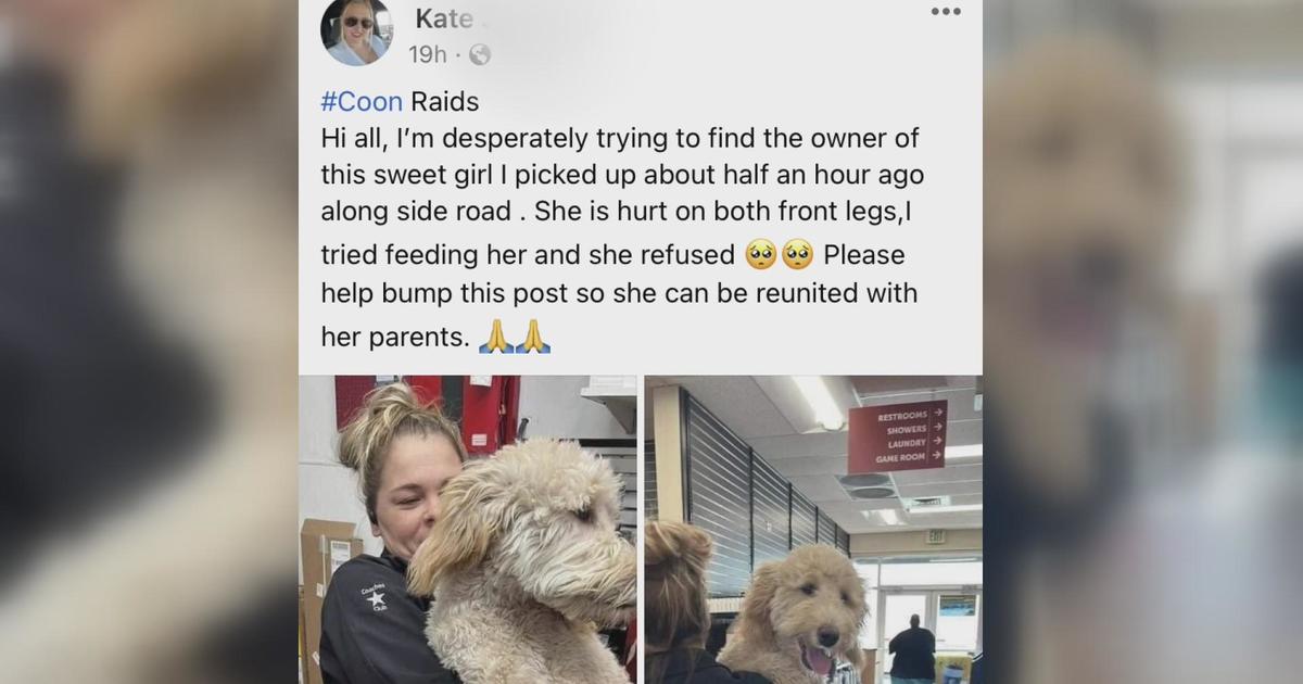 woman scammer with a dog photos search