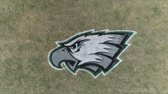 Philadelphia Eagle's Logo Fan String Art. Philly Eagles. 