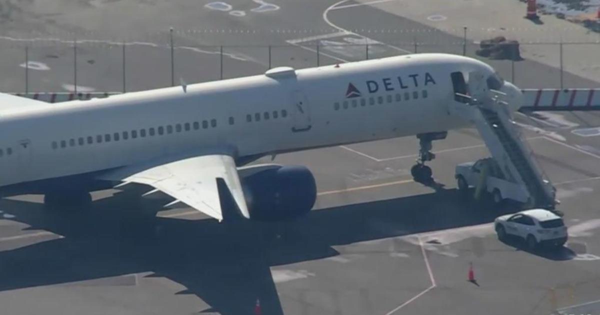 Delta flight headed to Bahamas landed securely back again to New York soon after hen strike