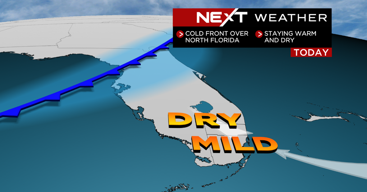 Miami Weather: Warm & breezy, cold front to drop temps Sunday