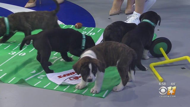 303159e210000e7096662b9340d90c5e.jpg 