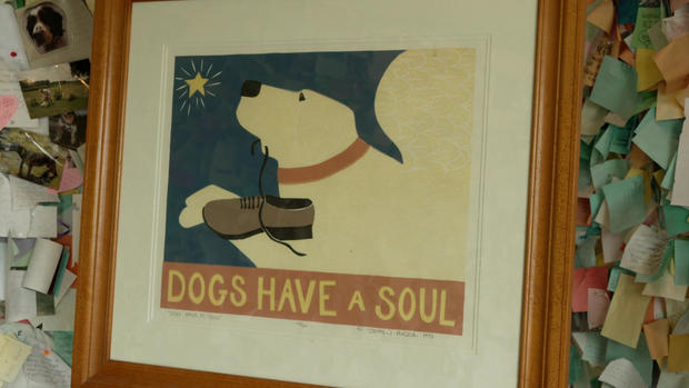 dogs-have-a-soul.jpg 
