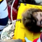 Young girl pulled alive from Turkey rubble over a week after deadly earthquakes