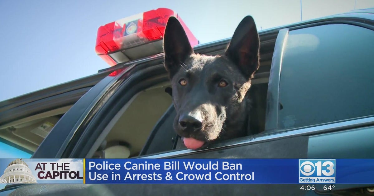 Police K-9 bill would ban use in arrests and crowd control