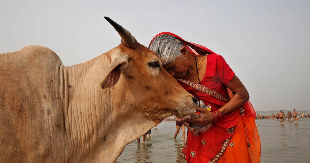 It's Valentine's Day (not "Cow Hug Day") in India after all - Vimarsana News