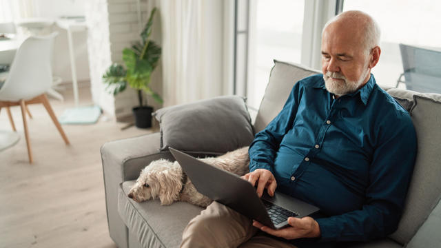 Senior man sitting on sofa with his dog and using laptop at home. 