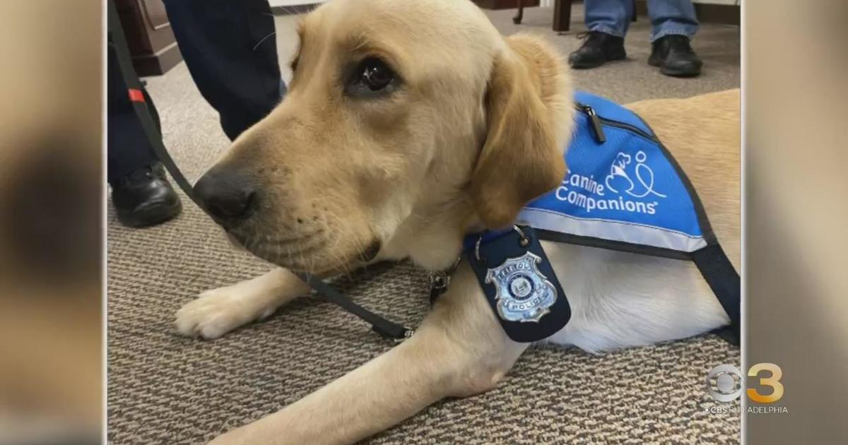 Delaware courthouse adds dog to help ease anxiety