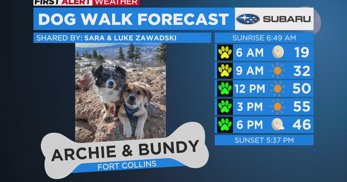 Archie and Bundie join Dog Walk Forecast CBS Colorado