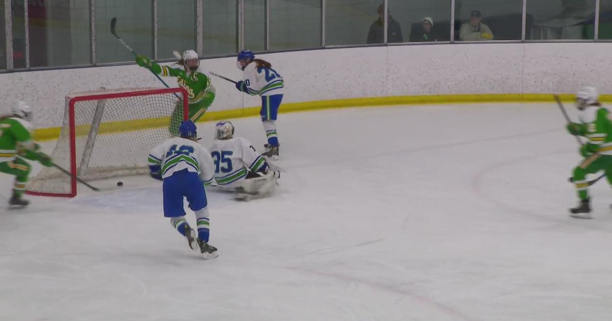 Edina, Blake face off at girls’ hockey sectional