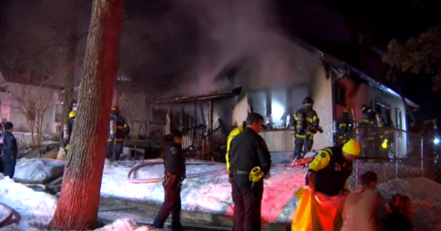 Animal rescuers lose 8 dogs in north Minneapolis house fire - CBS Minnesota