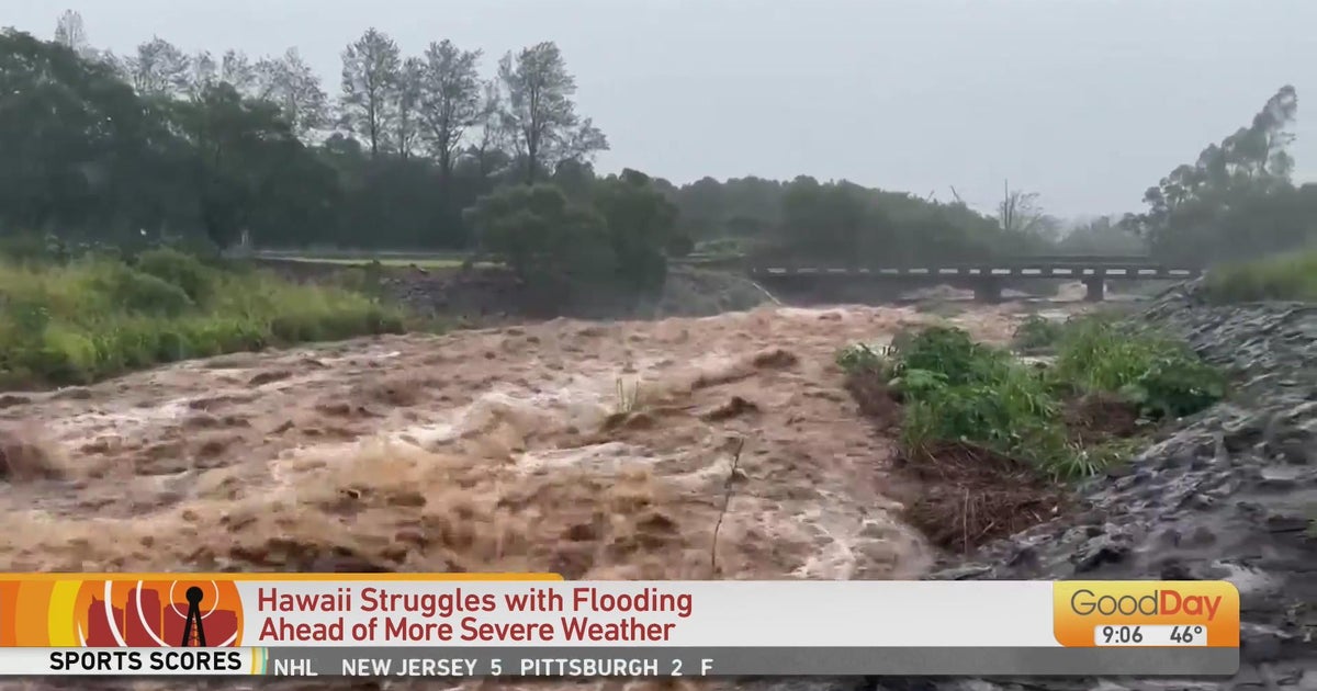 Morning news & weather update - 2/19/223