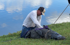 florida-gator-attack-1.png 
