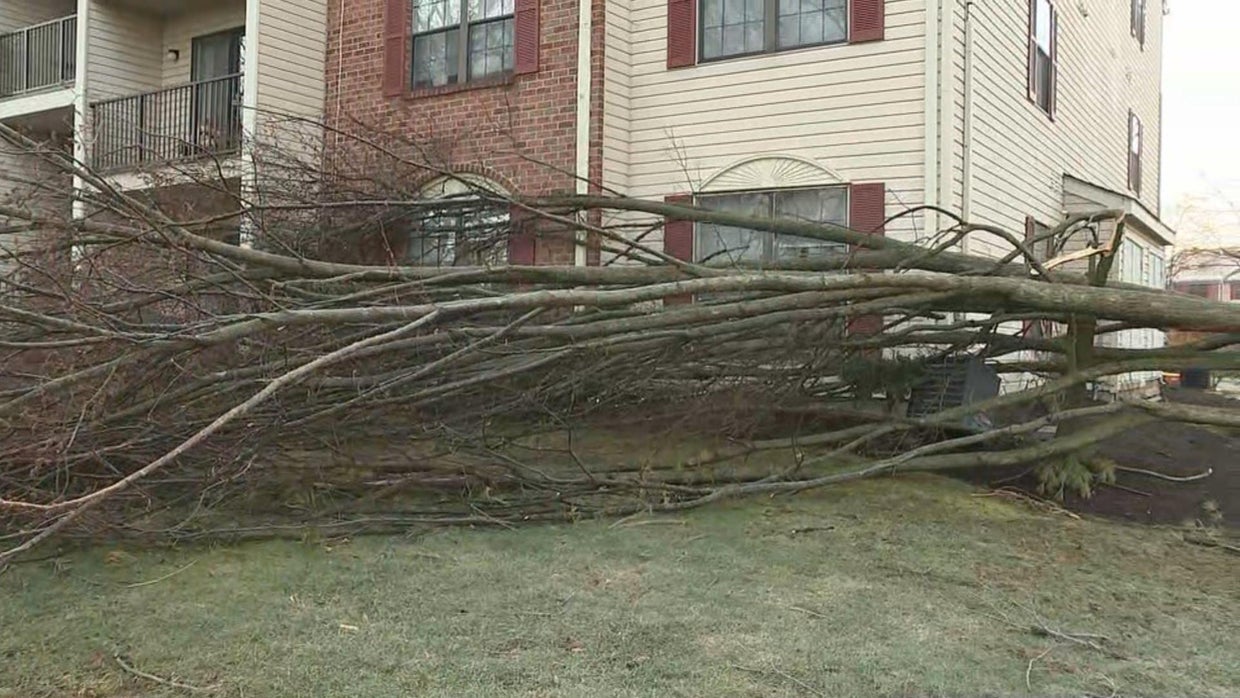 National Weather Service says EF2 tornado touched down in N.J. - CBS ...