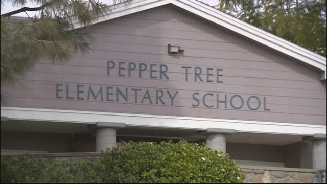 pepper-tree-elementary.jpg