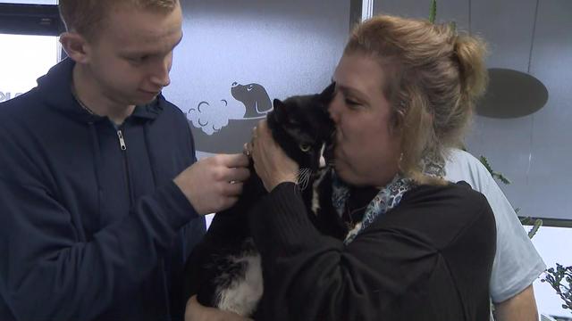 A woman holds and kisses a cat while a young man pets it. 