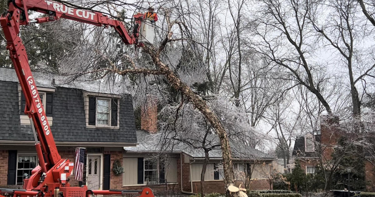Crews in Metro Detroit plan to work for days to clear downed trees from ice storm