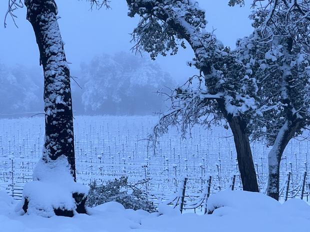 North Bay snow at Arkenstone Winery 