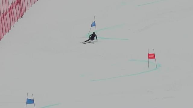 skiing.jpg 