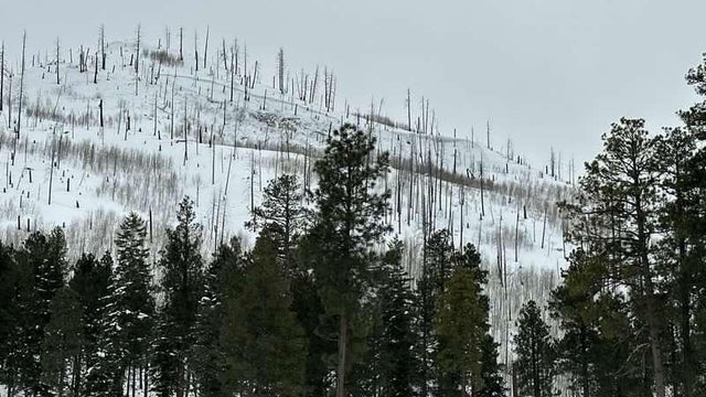 fatal-avalanche-3-caic-image-from-near-vallecito-reservoir.jpg 