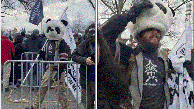 jesse-james-rumson-sedition-panda-arrested.gif 