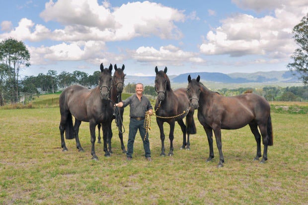 grandin-horse-behavior-1-paul-mcgreevy-from-une.jpg 