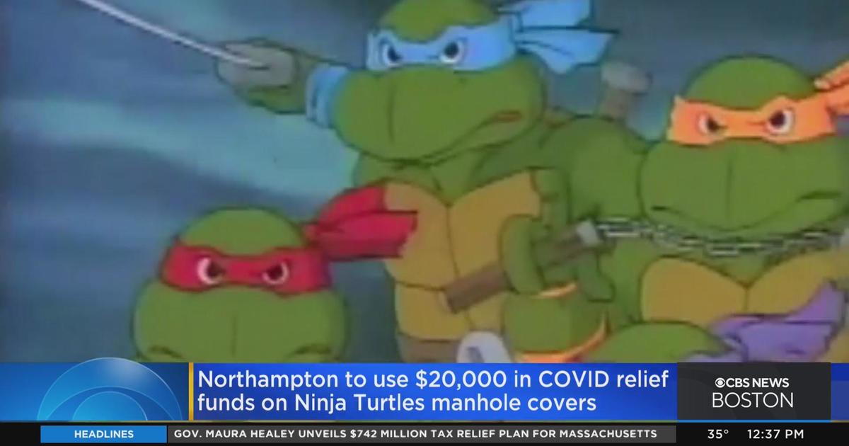 See Teenage Mutant Ninja Turtles Sewer Cover in New Hampshire