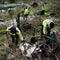 Remains of baby found in U.K. after missing couple arrested