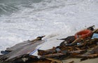 Irregular migrant ship sinks off in Italy 