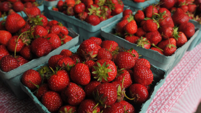 Oley Valley Farm Stands  Photo by Bill Uhrich  6/12/2014Fresh organic strawberries at  Oley Valley Organics in Pikeville. 