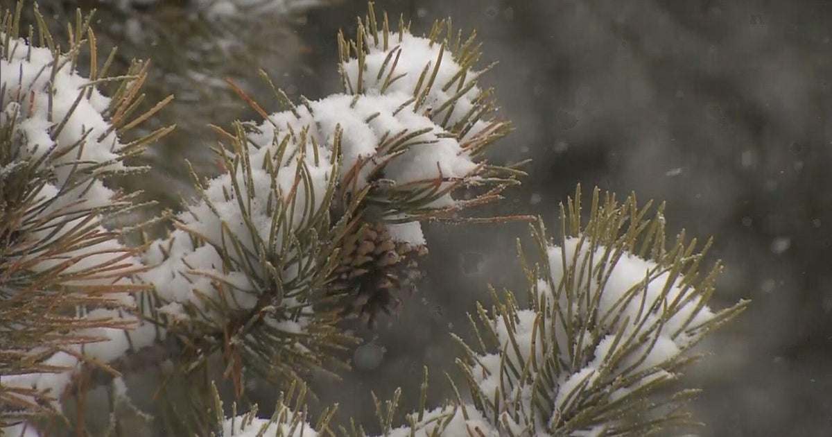 Good news about snowpack for Denver Water customers - Vimarsana News