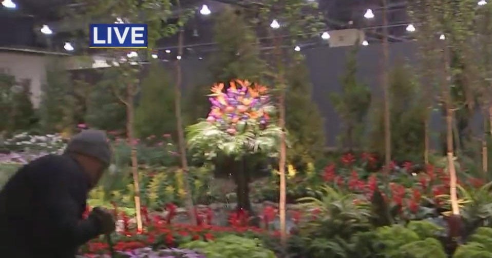Philadelphia Flower Show opens up at PA Convention Center CBS