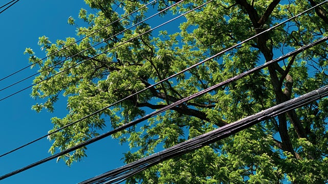 beauty in nature & suburban sprawl 