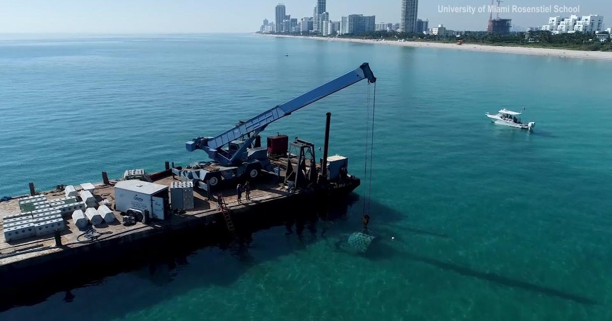 UM undertaking seeks to restore coral reefs, stop seashore erosion