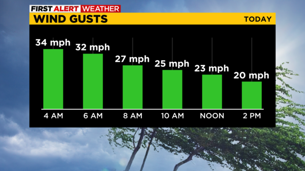 pgh-hourly-gusts.png 