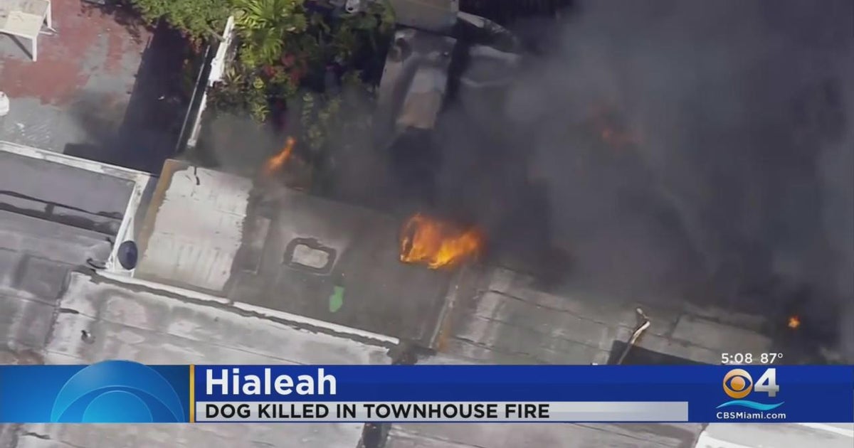 Cause of fire that killed dog at Hialeah townhouse under investigation ...