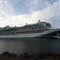 More than 300 fall ill on Princess Cruises ship