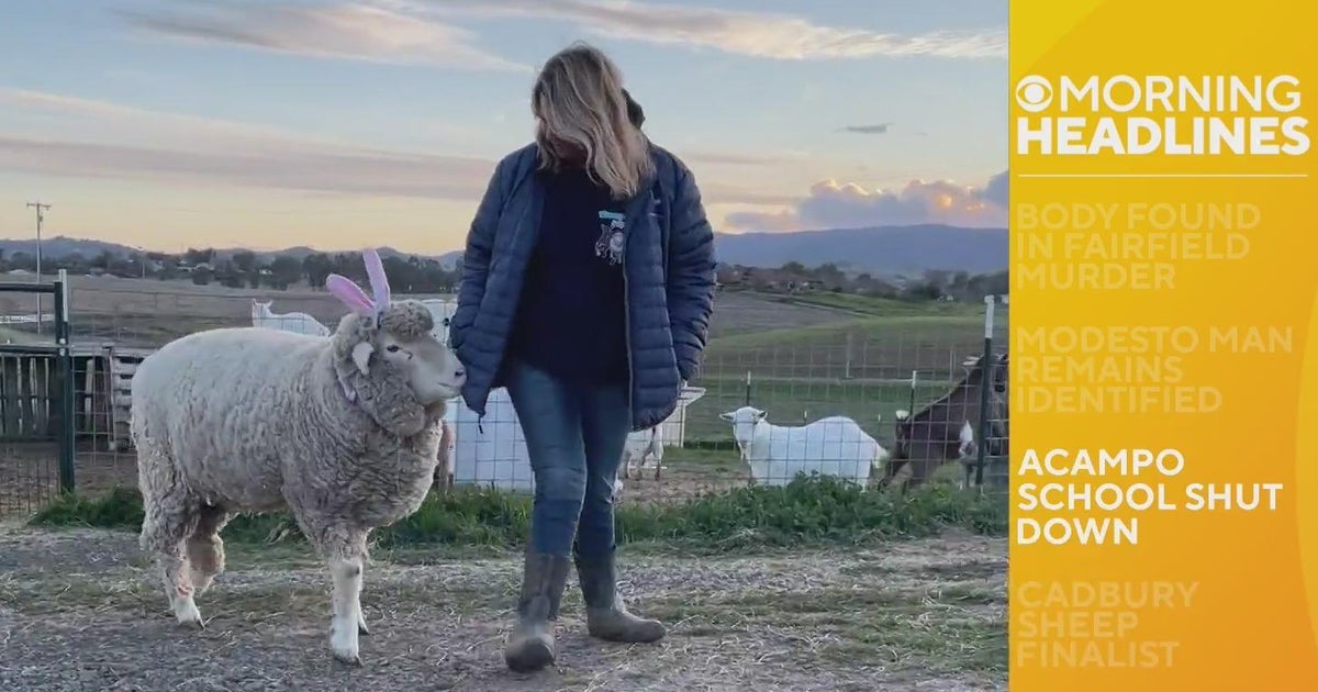 Morning headlines - 03/08/2023