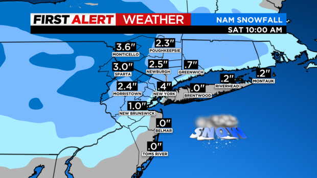 skycast-futurecast-snowfall-nam.png 