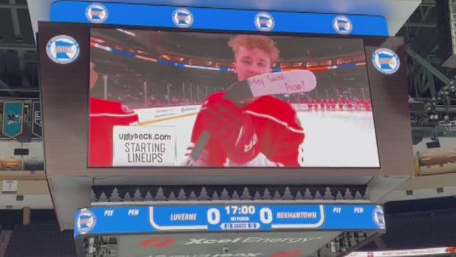 MN High School Player Goes Viral With Hockey Stick 'Promposal