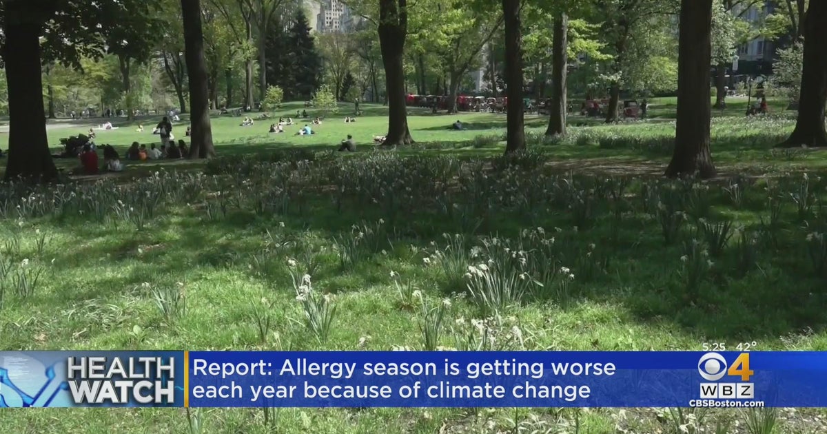 Climate change making allergy season worse each year, new report says