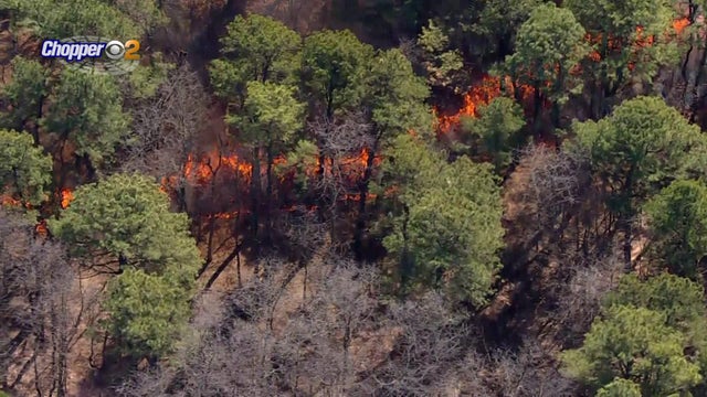 An aerial shot of a controlled burn in a wooded area of Old Bridge, New Jersey. 