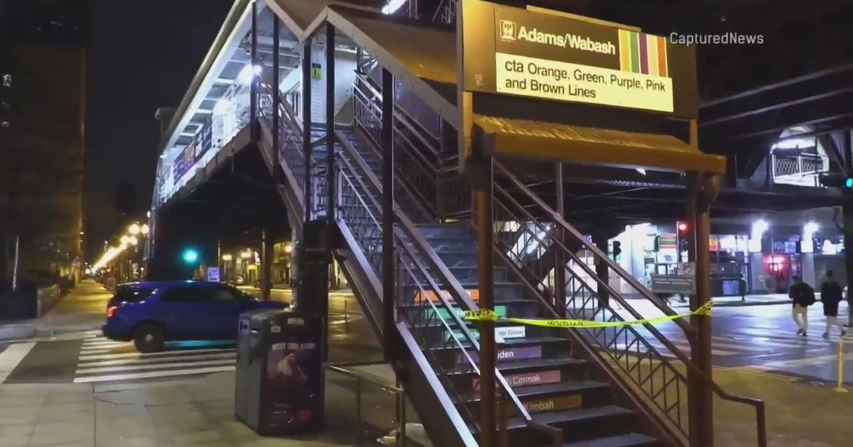Woman dies after being stabbed multiple times on CTA platform in the ...