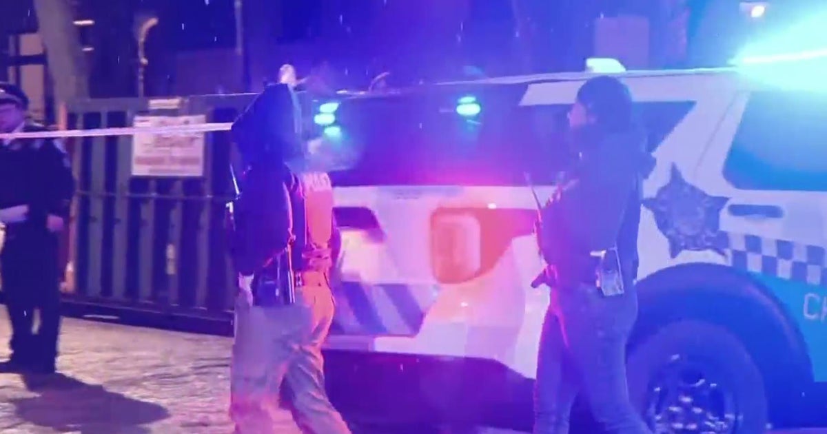 Chicago Police officer injured in fight in Lincoln Park - CBS Chicago