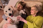 0312-60minutes-cooper-dogs-1789708-640x360.jpg 