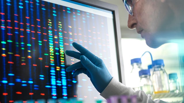 Scientist viewing DNA sample results on screen during clinical experiment 