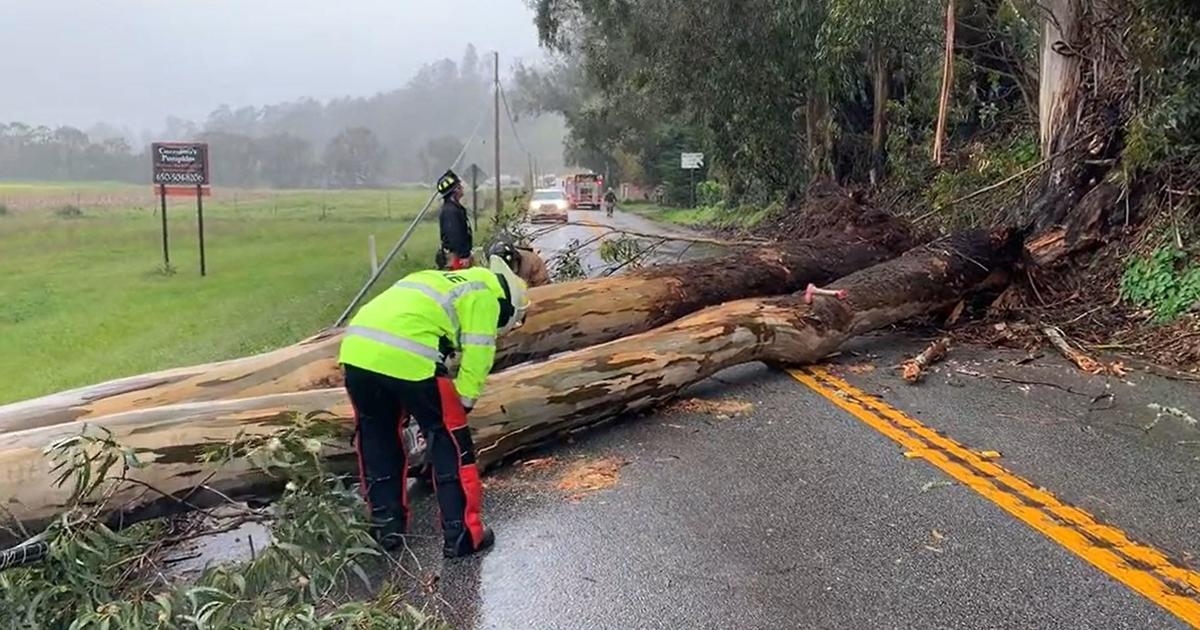 Update: High Winds Topple Trees, Tip Over Big Rigs, Blow Out Windows Of ...